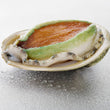 Australian Abalone (Frozen 8pc)