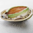 Australian Abalone (Frozen 8pc)
