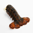 Wild Cold-Water Lobster Tails (2pcs)