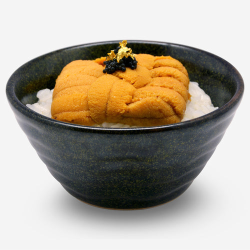 Uni Lovers Bundle