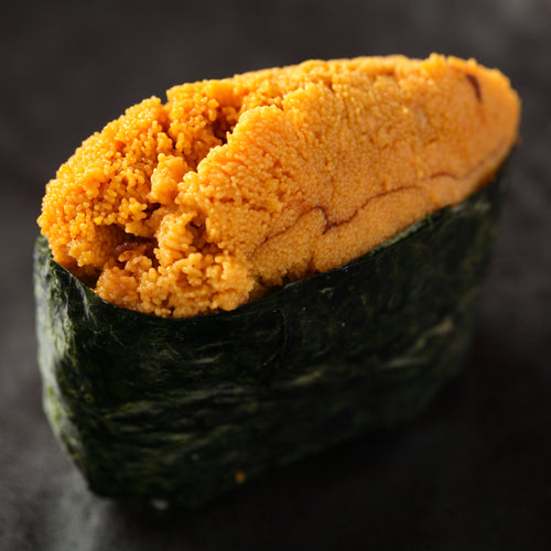 Uni Lovers Bundle
